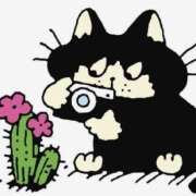 ヒメ日記 2025/08/24 21:01 投稿 比留駒りりこ ABC 岩手ソープ