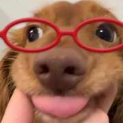 ヒメ日記 2025/10/27 06:31 投稿 比留駒りりこ ABC 岩手ソープ