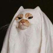 ヒメ日記 2025/10/28 22:01 投稿 比留駒りりこ ABC 岩手ソープ