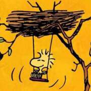 ヒメ日記 2025/11/19 11:31 投稿 比留駒りりこ ABC 岩手ソープ