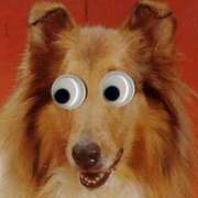 ヒメ日記 2025/12/12 21:31 投稿 比留駒りりこ ABC 岩手ソープ