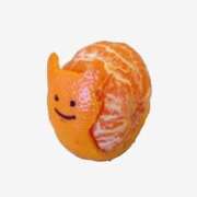 ヒメ日記 2025/12/25 06:01 投稿 比留駒りりこ ABC 岩手ソープ