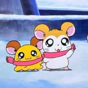 ヒメ日記 2026/02/11 06:31 投稿 比留駒りりこ ABC 岩手ソープ