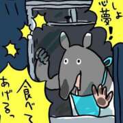 ヒメ日記 2026/09/04 06:31 投稿 比留駒りりこ ABC 岩手ソープ