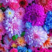 ヒメ日記 2025/07/21 03:16 投稿 土屋るい ABC 岩手ソープ