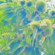 ヒメ日記 2026/08/21 06:31 投稿 土屋るい ABC 岩手ソープ