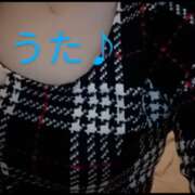 ヒメ日記 2025/02/20 08:16 投稿 海堂うた ABC 岩手ソープ