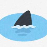 ヒメ日記 2025/04/20 06:31 投稿 海堂うた ABC 岩手ソープ