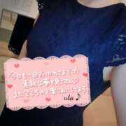 ヒメ日記 2025/04/26 00:16 投稿 海堂うた ABC 岩手ソープ