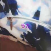 ヒメ日記 2025/09/05 18:46 投稿 海堂うた ABC 岩手ソープ