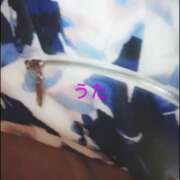 ヒメ日記 2025/09/18 22:16 投稿 海堂うた ABC 岩手ソープ