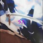 ヒメ日記 2025/11/22 07:01 投稿 海堂うた ABC 岩手ソープ