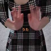 ヒメ日記 2026/04/15 06:16 投稿 海堂うた ABC 岩手ソープ