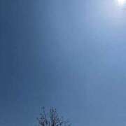 ヒメ日記 2025/04/27 12:46 投稿 本田ゆず ABC 岩手ソープ