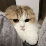 ヒメ日記 2025/06/21 04:31 投稿 本田ゆず ABC 岩手ソープ