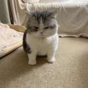 ヒメ日記 2025/07/22 23:16 投稿 本田ゆず ABC 岩手ソープ