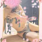 ヒメ日記 2025/03/27 21:31 投稿 三浦きょうこ ABC 岩手ソープ