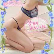 ヒメ日記 2025/03/28 09:01 投稿 三浦きょうこ ABC 岩手ソープ