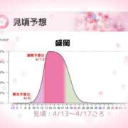 ヒメ日記 2025/03/31 07:31 投稿 三浦きょうこ ABC 岩手ソープ