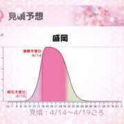 ヒメ日記 2025/04/01 09:46 投稿 三浦きょうこ ABC 岩手ソープ