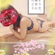 ヒメ日記 2025/04/18 11:46 投稿 三浦きょうこ ABC 岩手ソープ