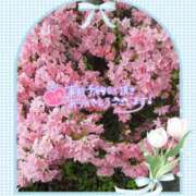 ヒメ日記 2025/05/22 22:46 投稿 三浦きょうこ ABC 岩手ソープ