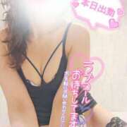 ヒメ日記 2025/06/04 07:31 投稿 三浦きょうこ ABC 岩手ソープ