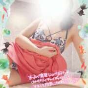 ヒメ日記 2025/07/12 09:01 投稿 三浦きょうこ ABC 岩手ソープ