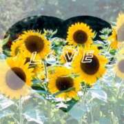 ヒメ日記 2025/07/22 07:31 投稿 三浦きょうこ ABC 岩手ソープ