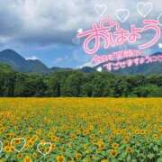 ヒメ日記 2025/08/12 07:31 投稿 三浦きょうこ ABC 岩手ソープ