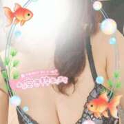 ヒメ日記 2025/08/12 09:01 投稿 三浦きょうこ ABC 岩手ソープ