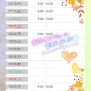 ヒメ日記 2025/09/17 19:01 投稿 三浦きょうこ ABC 岩手ソープ