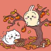 ヒメ日記 2025/11/08 07:31 投稿 三浦きょうこ ABC 岩手ソープ