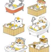 ヒメ日記 2025/12/23 07:46 投稿 三浦きょうこ ABC 岩手ソープ