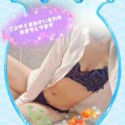 ヒメ日記 2026/01/23 11:16 投稿 三浦きょうこ ABC 岩手ソープ