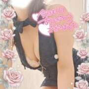 ヒメ日記 2026/02/24 16:16 投稿 三浦きょうこ ABC 岩手ソープ