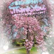 ヒメ日記 2026/04/16 22:16 投稿 三浦きょうこ ABC 岩手ソープ