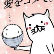 ヒメ日記 2026/04/20 07:31 投稿 三浦きょうこ ABC 岩手ソープ