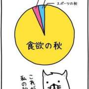 ヒメ日記 2026/10/23 07:31 投稿 三浦きょうこ ABC 岩手ソープ