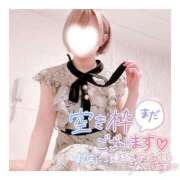 ヒメ日記 2024/12/22 12:46 投稿 神谷ひまり ABC 岩手ソープ