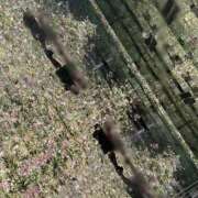 ヒメ日記 2025/02/25 10:01 投稿 結城さくら ABC 岩手ソープ