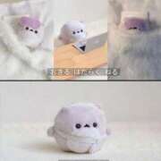 結城さくら ? ABC 岩手ソープ