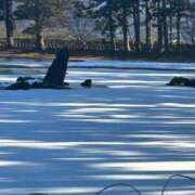 ヒメ日記 2025/01/05 11:46 投稿 白雪ひめか ABC 岩手ソープ