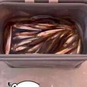 ヒメ日記 2025/02/10 14:31 投稿 白雪ひめか ABC 岩手ソープ