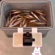 ヒメ日記 2025/03/02 17:01 投稿 白雪ひめか ABC 岩手ソープ