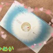 ヒメ日記 2025/03/14 16:31 投稿 白雪ひめか ABC 岩手ソープ