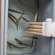 ヒメ日記 2025/12/27 18:46 投稿 白雪ひめか ABC 岩手ソープ