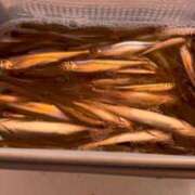 ヒメ日記 2026/02/07 17:16 投稿 白雪ひめか ABC 岩手ソープ