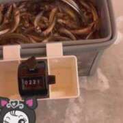 ヒメ日記 2026/02/15 18:01 投稿 白雪ひめか ABC 岩手ソープ