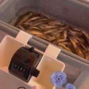 ヒメ日記 2026/02/21 16:01 投稿 白雪ひめか ABC 岩手ソープ